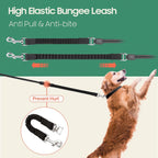 Close up of Happy and Polly leash bungee and reflective tape