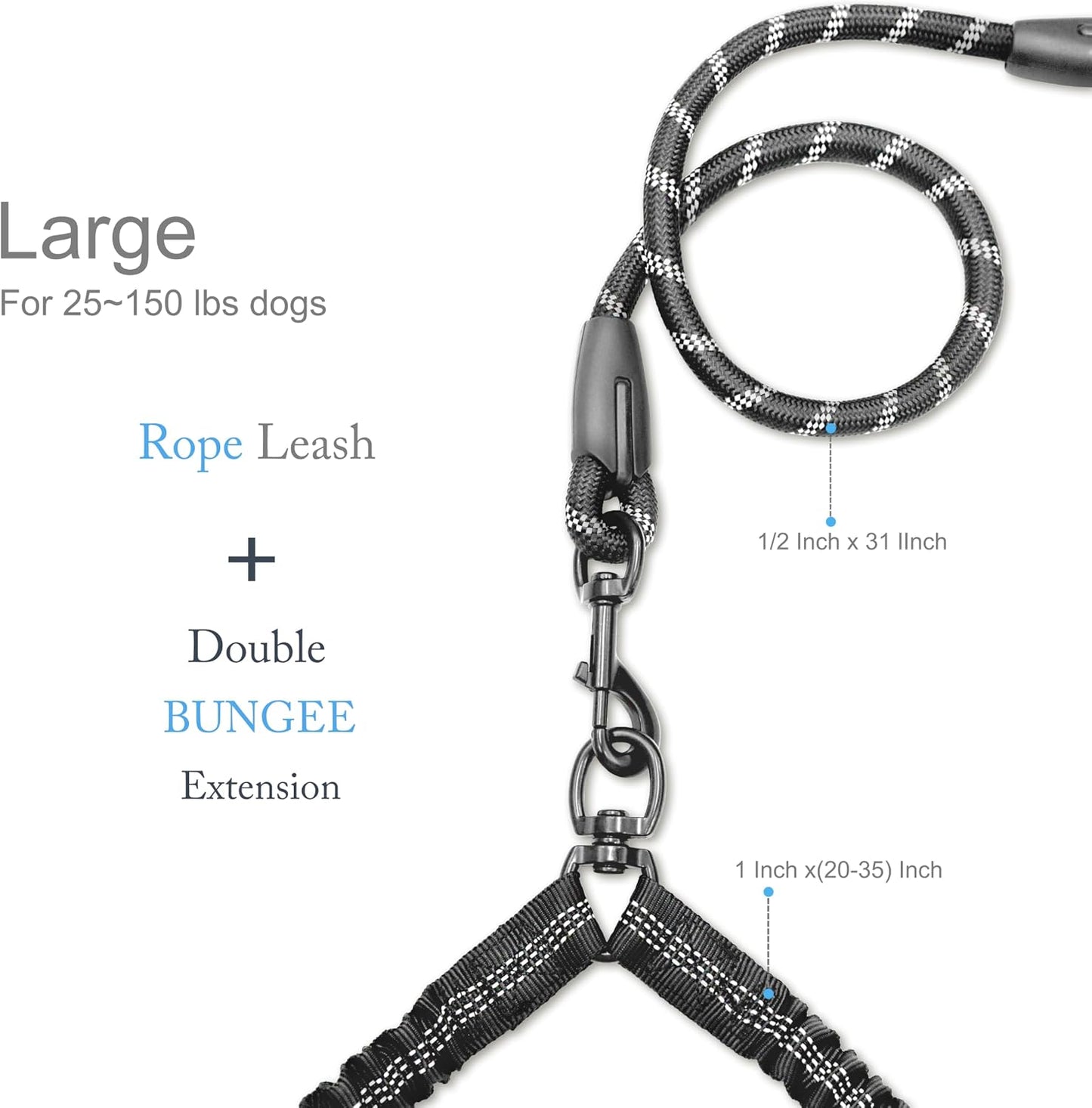 Close up of the three hundred sixty degree rotating metal swivel connector on the Drgxle double dog leash
