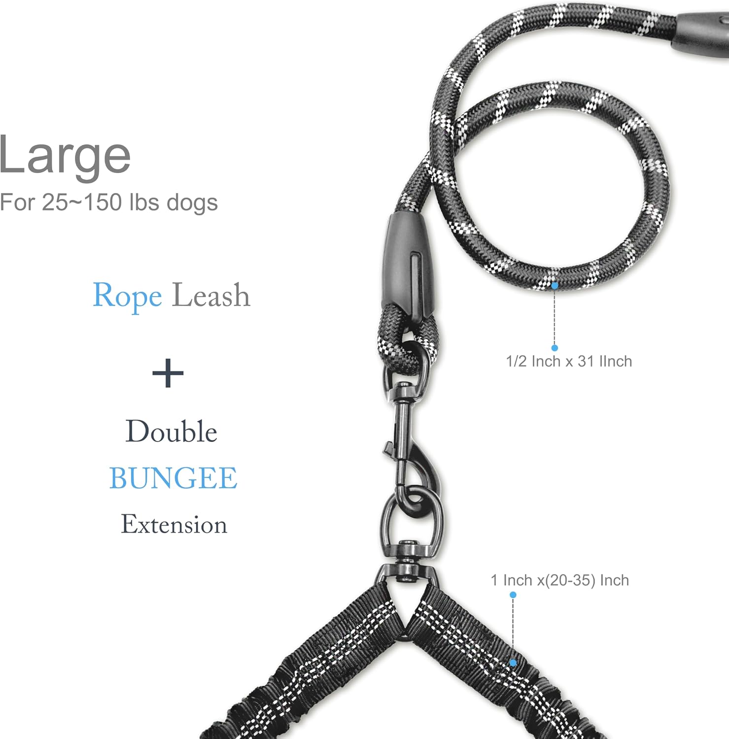 Close up of the three hundred sixty degree rotating metal swivel connector on the Drgxle double dog leash