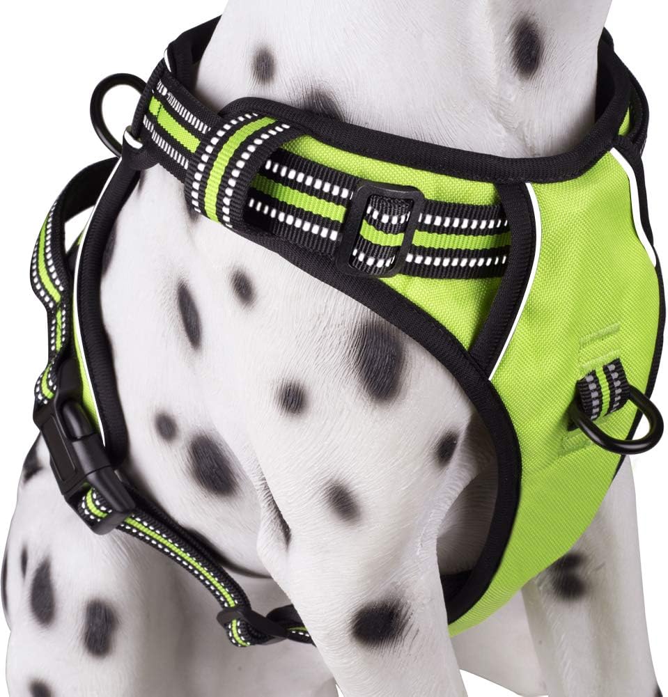 PoyPet No Pull Dog Harness, Reflective Comfortable Vest Harness with Front & Back 2 Leash Attachments and Easy Control Handle Adjustable Soft Padded Pet Vest for Small Medium Large Dogs (Mint Blue,M) - Image 13