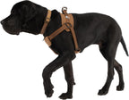 Neoprene padded chest plate on rugged on leash training dog harness