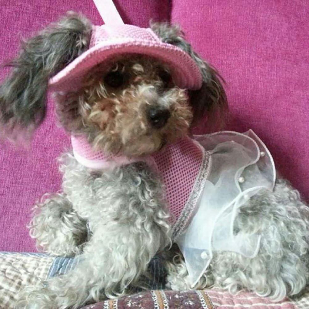 MaruPet dog hat showing ear hole design