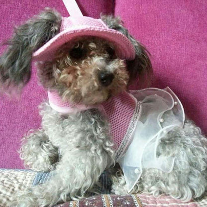 MaruPet dog hat showing ear hole design
