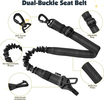Dog car harness with double clips and elastic tether