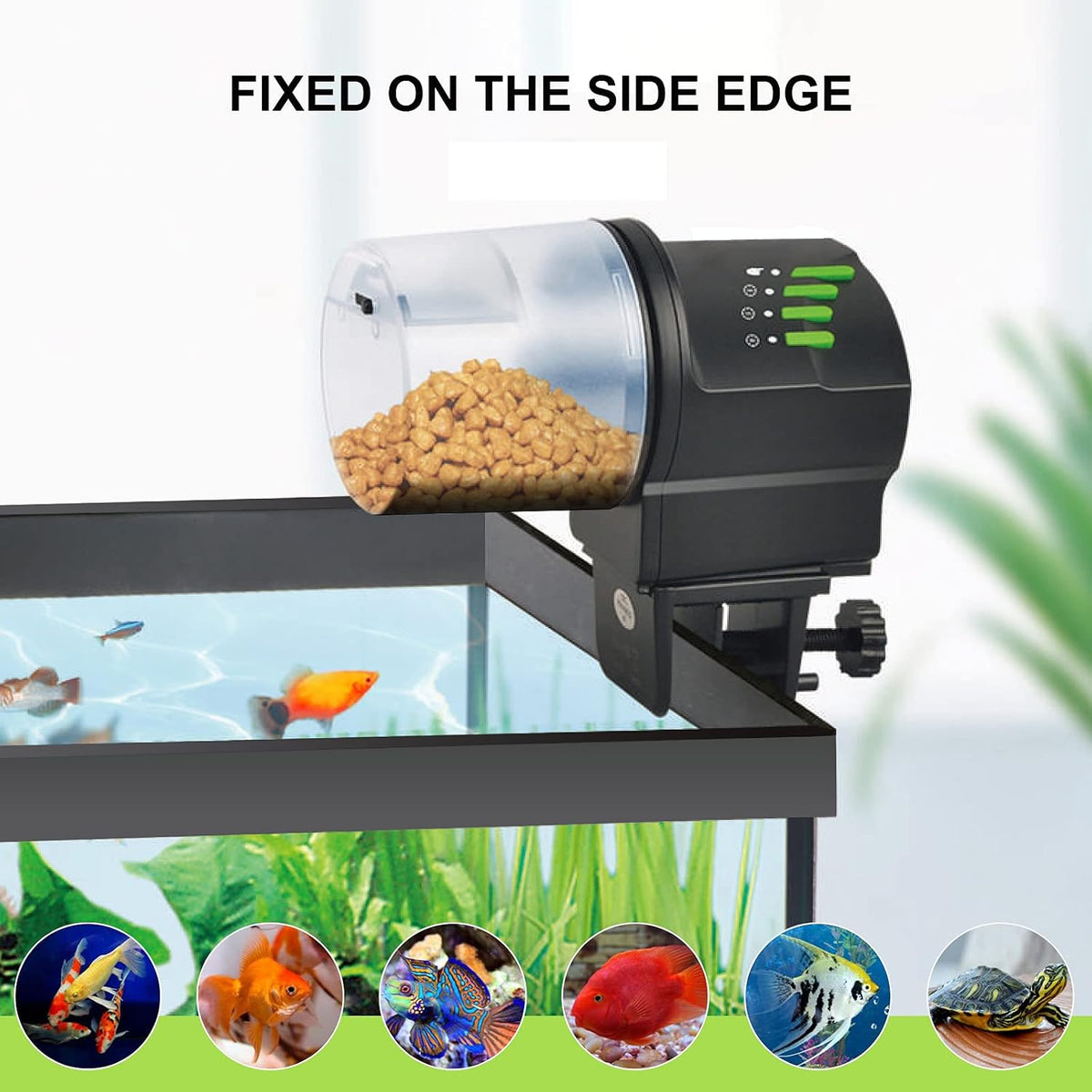Dxophiex automatic fish feeder with dual container sizes
