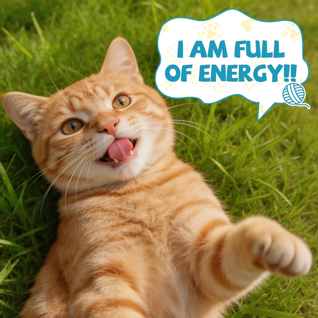 Taurine for Cats Drop - Taurine Supplement for Cats, Supports Feline Heart & Immune Function, Vision, Energy & Vitality, Coenzyme Q10, L-Carnitine, L-Arginine, Vitamin, Liquid Cat Taurine 60ML - Image 9