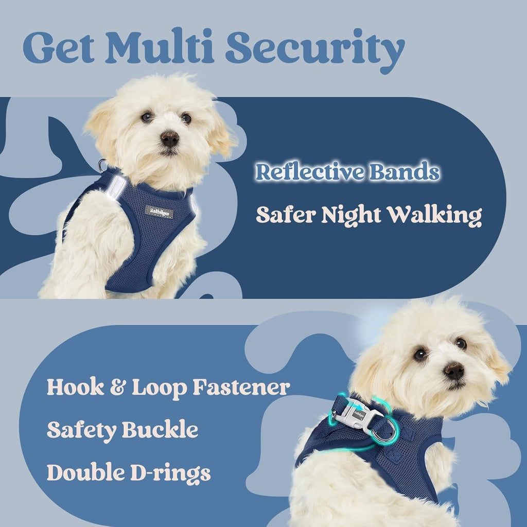 Packaging view of the premium imported rabbitgoo size small dog walking harness