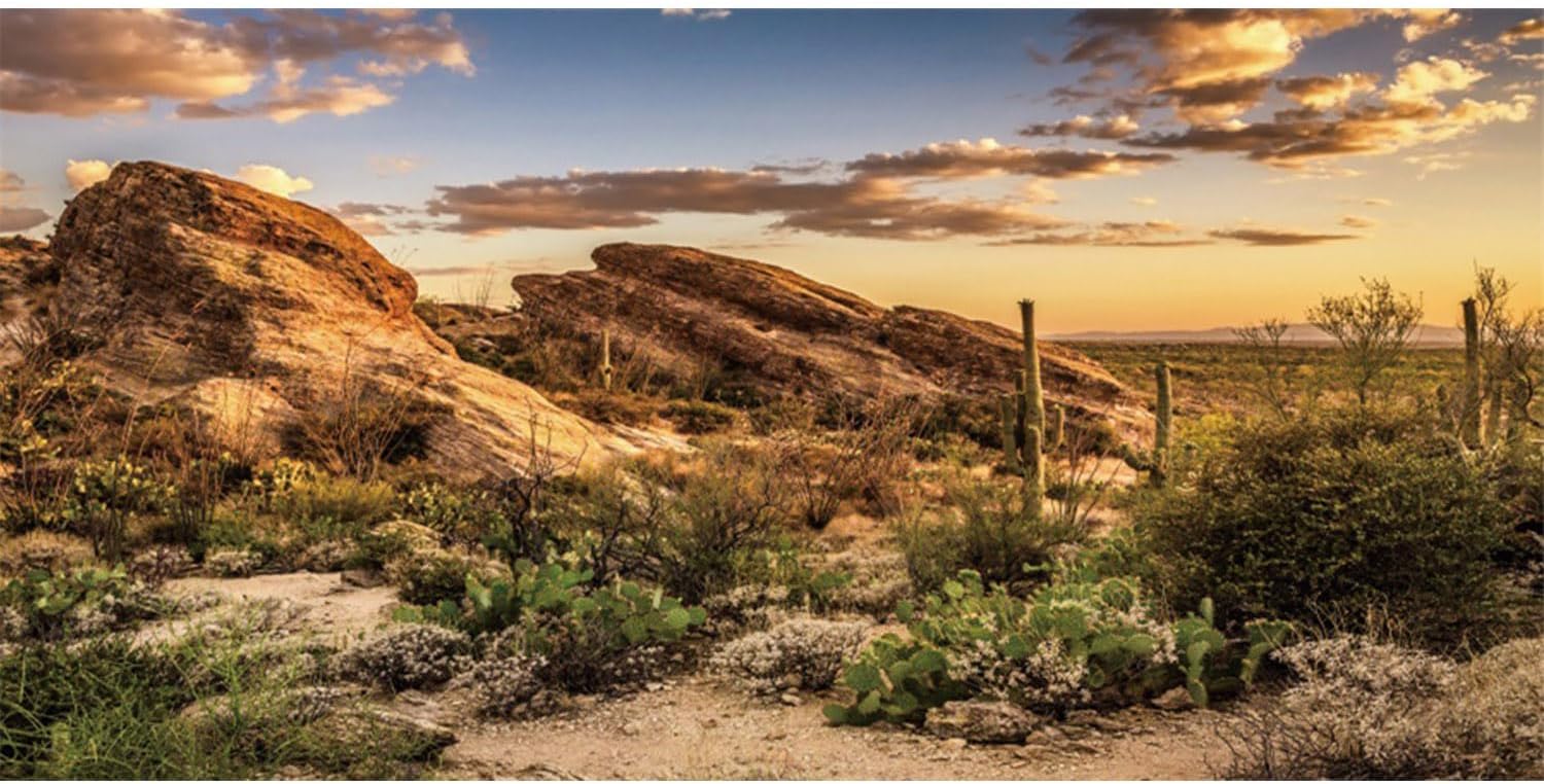 AWERT reptile habitat background front view showcasing a vibrant desert cactus sun and blue sky oasis scene.
