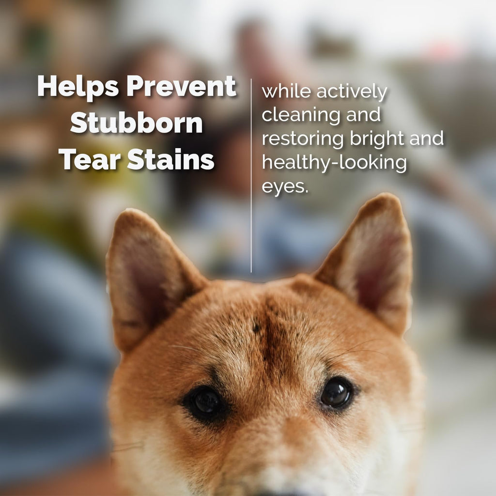 Gentle Multi-Purpose Eye Wash for Dogs & Cats (4 fl oz) Helps with Eye Infections, Redness, Irritation, Tear Stains, Discharge, Pink Eye, Conjunctivitis & Dry Eye Relief Vet Formulated - Image 9