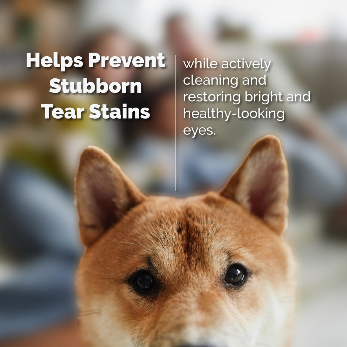 Gentle Multi-Purpose Eye Wash for Dogs & Cats (4 fl oz) Helps with Eye Infections, Redness, Irritation, Tear Stains, Discharge, Pink Eye, Conjunctivitis & Dry Eye Relief Vet Formulated - Image 9