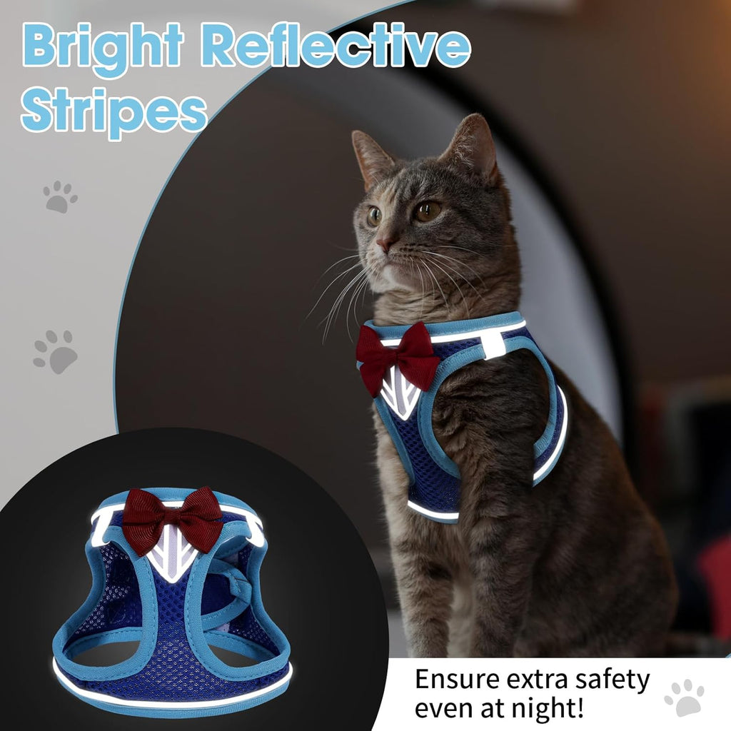 Lightweight air mesh pet vest for safe evening walks
