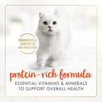 Purina Fancy Feast grain free salmon cat food cans arranged together