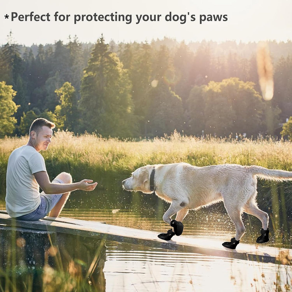 Dogoys black dog footwear for winter and summer