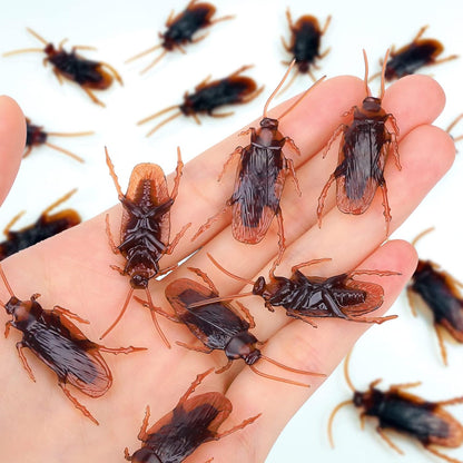 LIFE BETTER Premium Fake Cockroaches front view displaying lifelike textures and brown coloration for realistic pranks