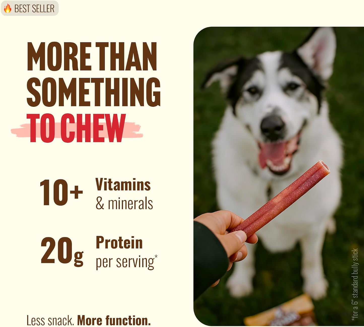 Natural Farm zero odor bully stick alternative for dental care