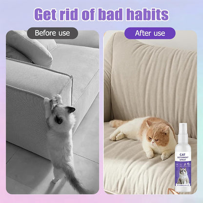 Safe plant-based bitter cat spray for household items