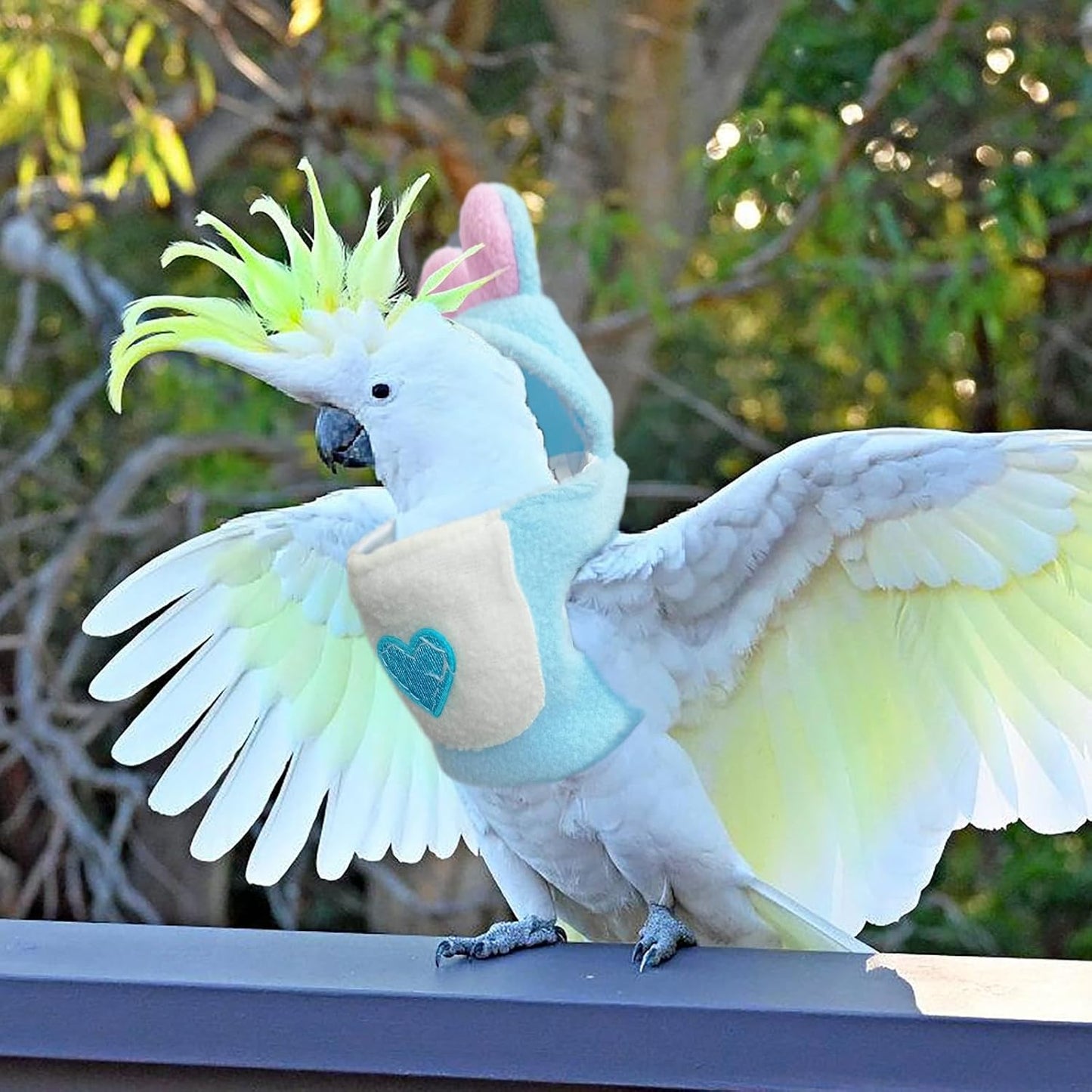 Back view of the cute bird clothing showing full coverage and wing comfort areas.