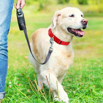 Suncliff reflective custom name dog collar laid flat showing sizing adjustments