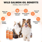 Pure liquid salmon oil being pumped directly onto dry pet kibble for daily nutrition