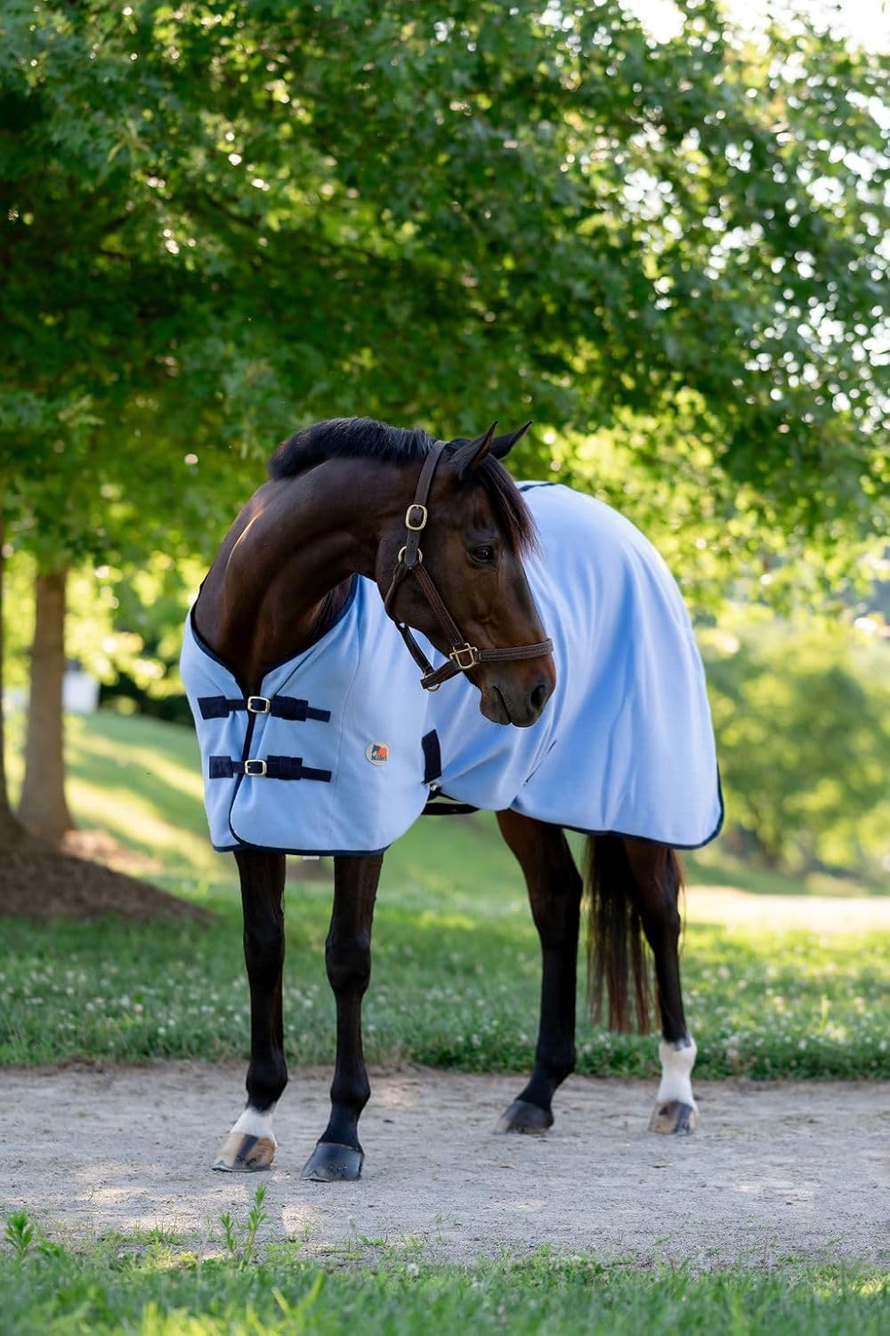 Lightweight moisture wicking horse cooler blanket laid flat for size overview.