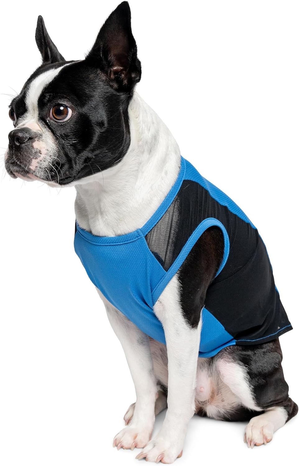 Insect Shield pet breathable sleeveless mesh airflow tank top front view on a small dog