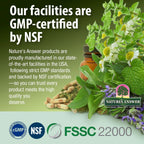 Authentic USA imported Nature's Answer barberry supplement for holistic wellness