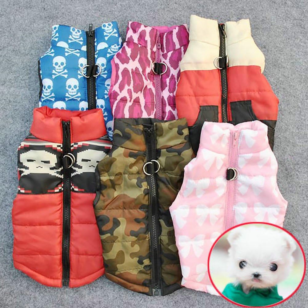 Small dog wearing camouflage warm winter vest