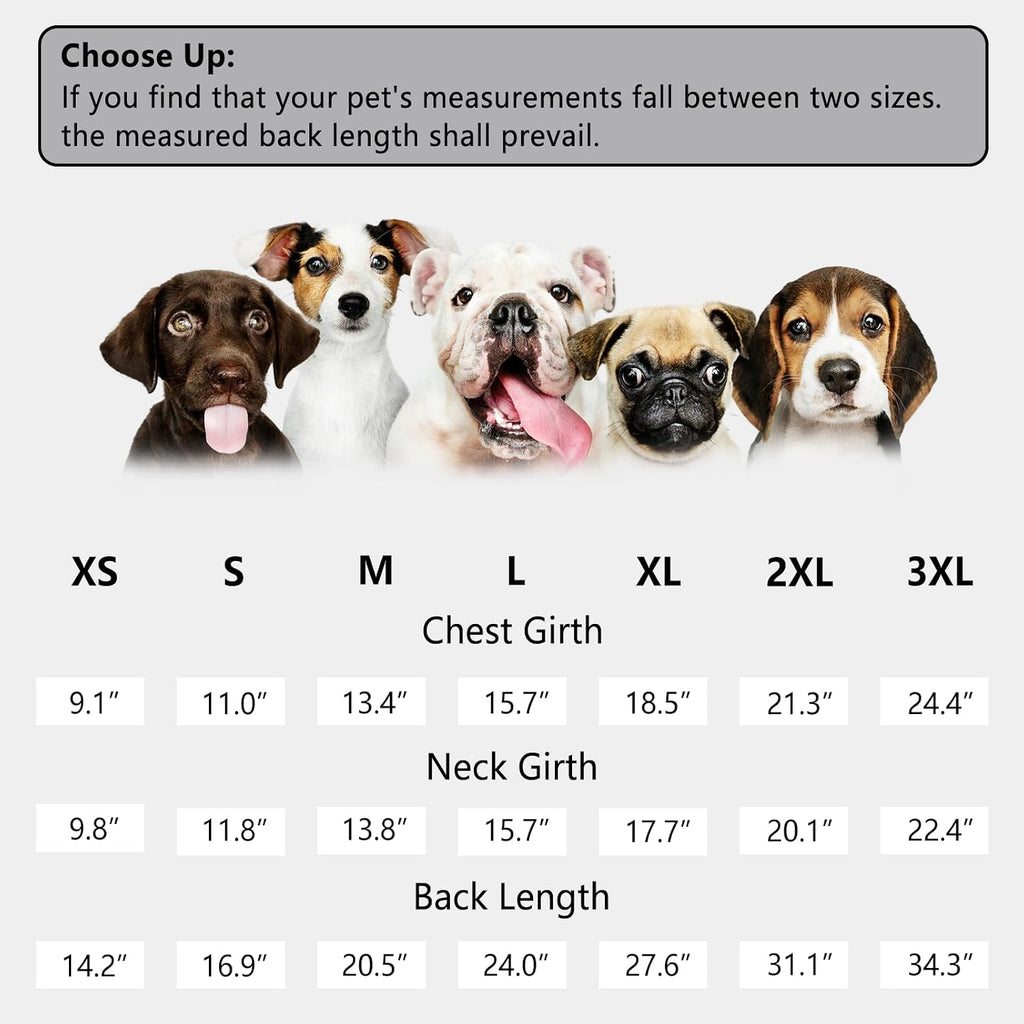Small size dog recovery clothing suitable for small breeds post-neutering.