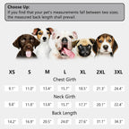 Small size dog recovery clothing suitable for small breeds post-neutering.