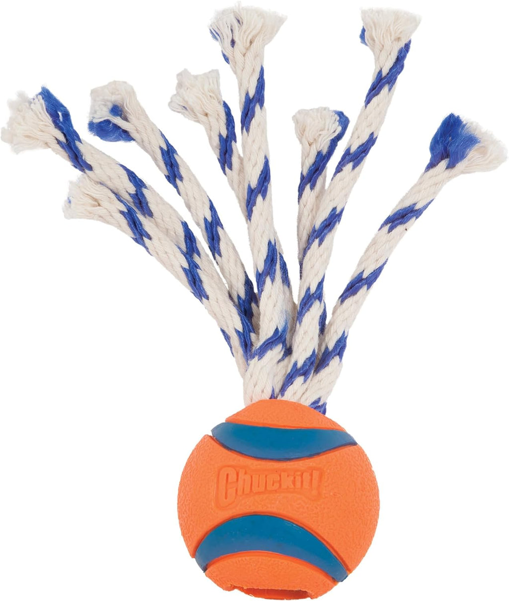 Medium size Chuckit Ultra Tug for dogs 20 to 60 pounds