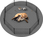 Puppy sitting comfortably on a large CoolShields reusable pee pad