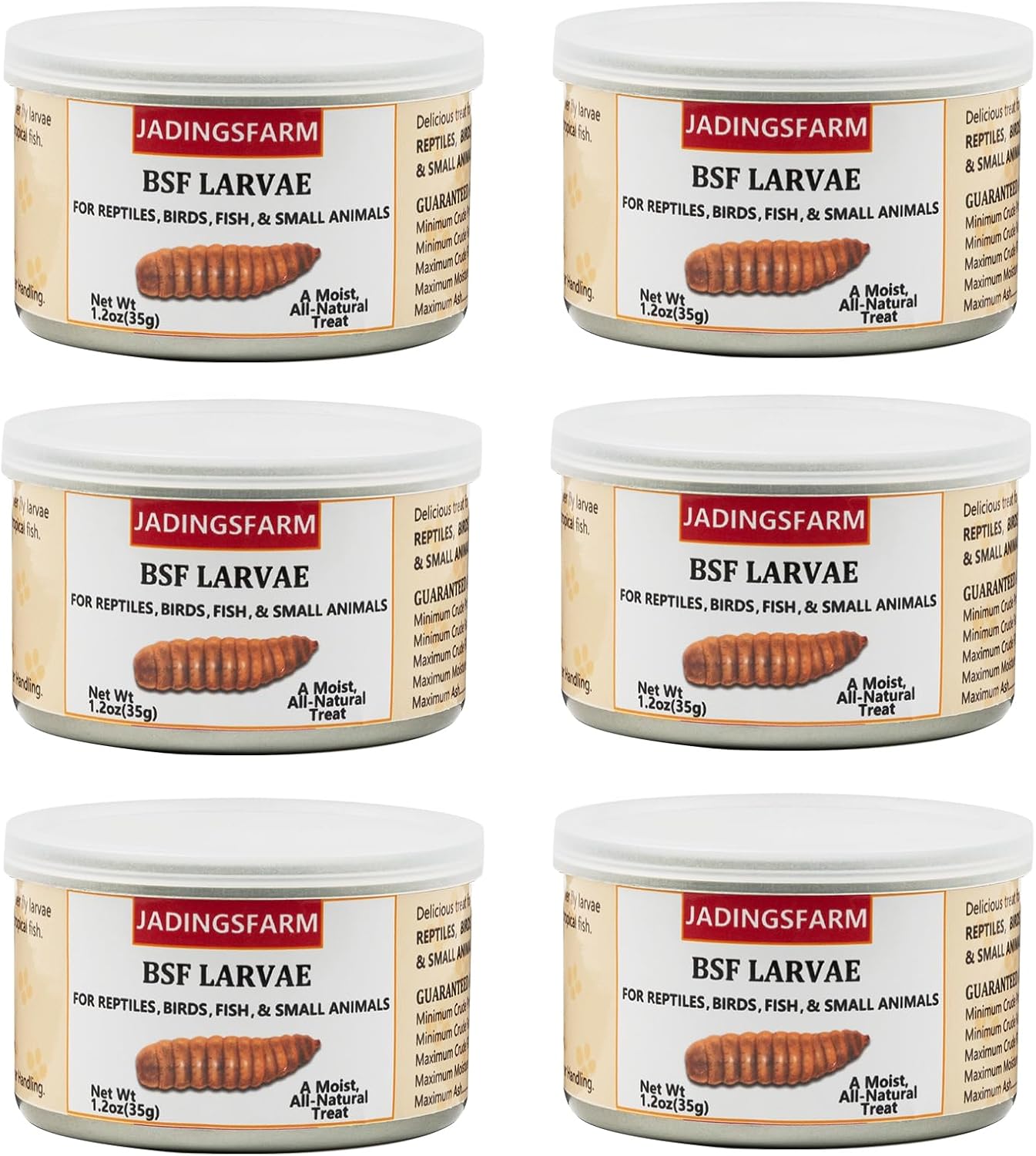 Jadingsfarm healthy insect snacks six pack set open view