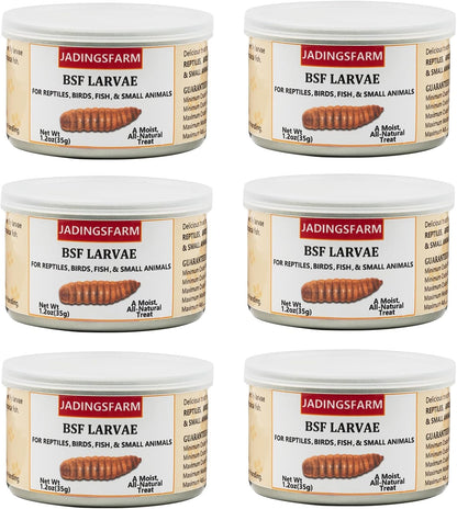 Jadingsfarm healthy insect snacks six pack set open view