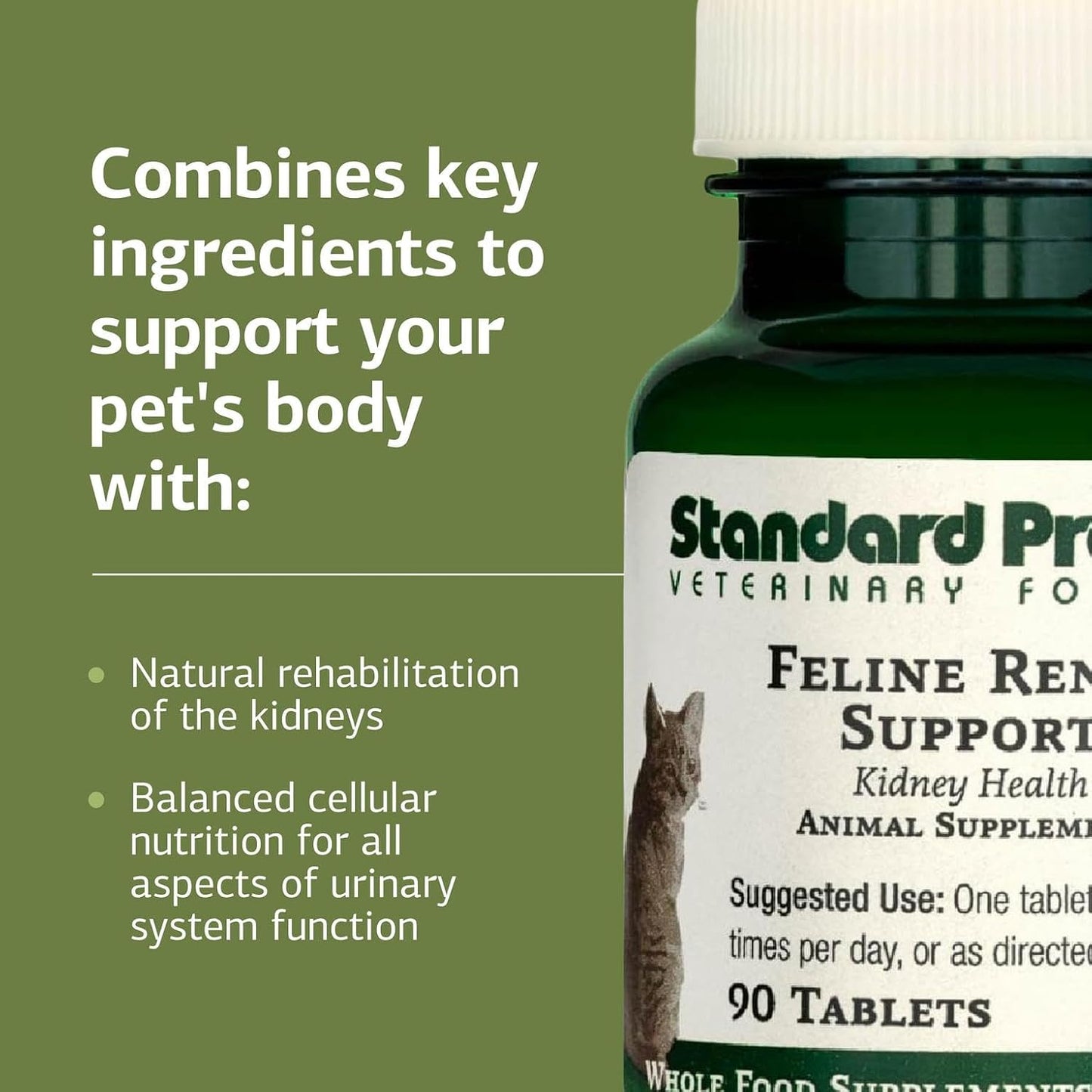 Close up of Standard Process Feline Renal Support tablet bottle