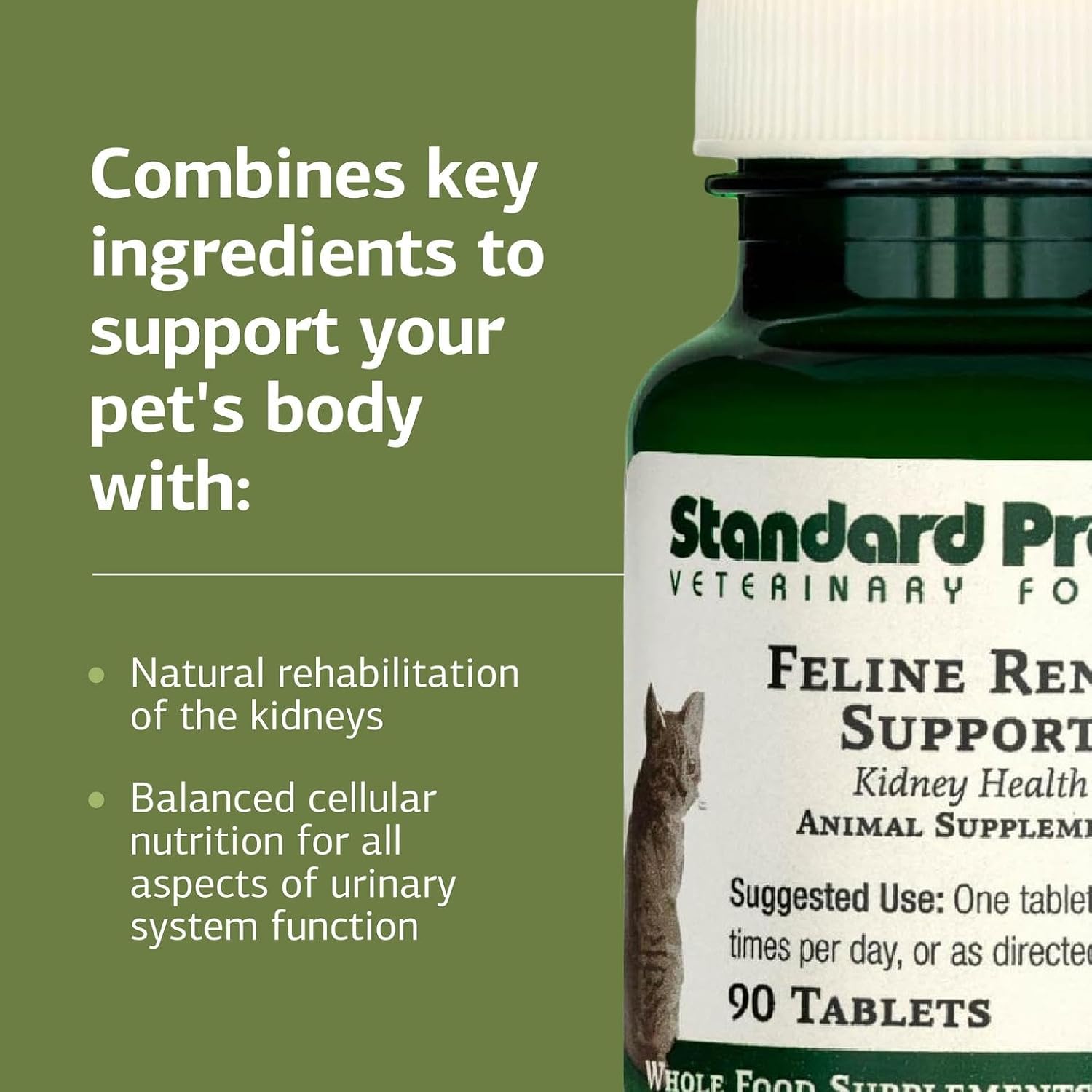 Close up of Standard Process Feline Renal Support tablet bottle