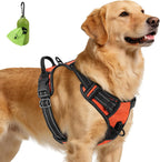 Joytale premium padded dog training harness showing front chest ring