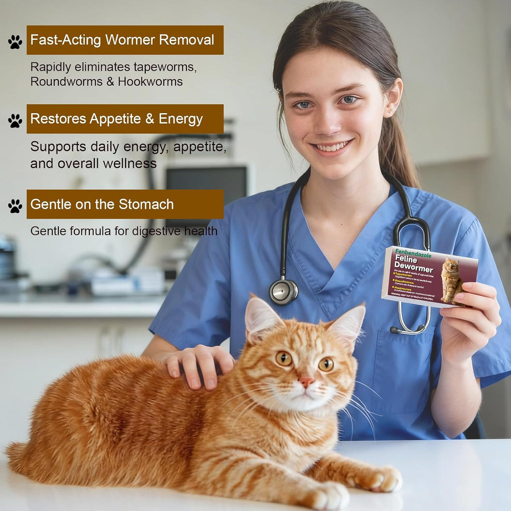 Fenbendazole broad spectrum treatment tablets for adult cats and kittens