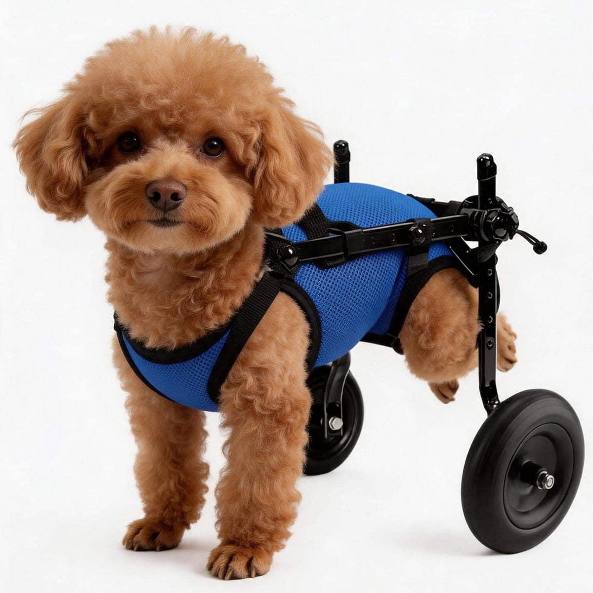 HiSnug rear wheels mobility aid cart for dogs front view