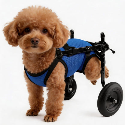 HiSnug rear wheels mobility aid cart for dogs front view