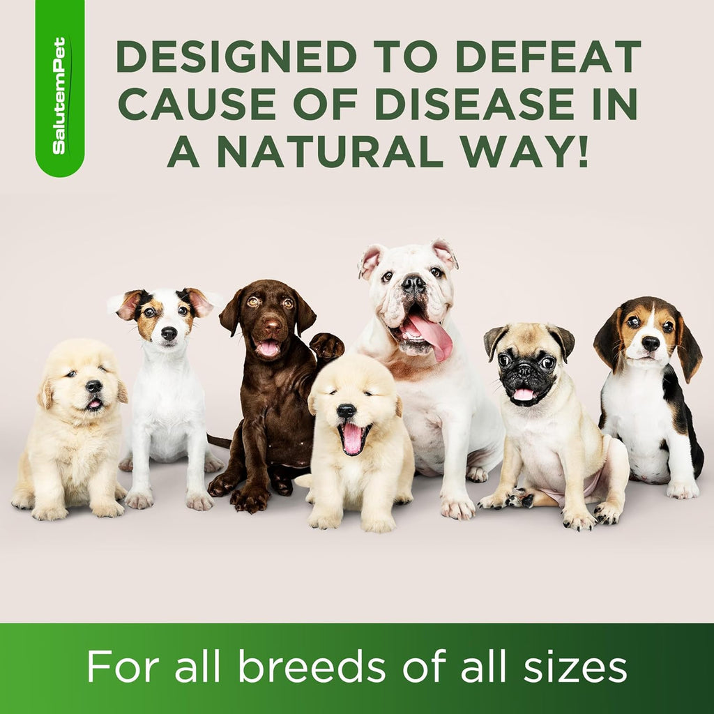 SalutemPet USA imported pet health supplement bottle close up