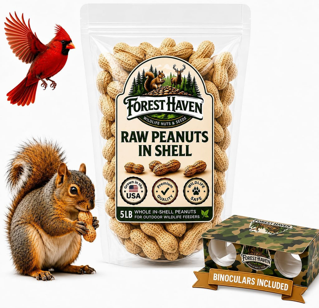 USA grown raw peanuts for wild birds