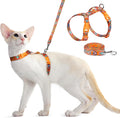 Dooradar cat harness and leash set orange and black front view
