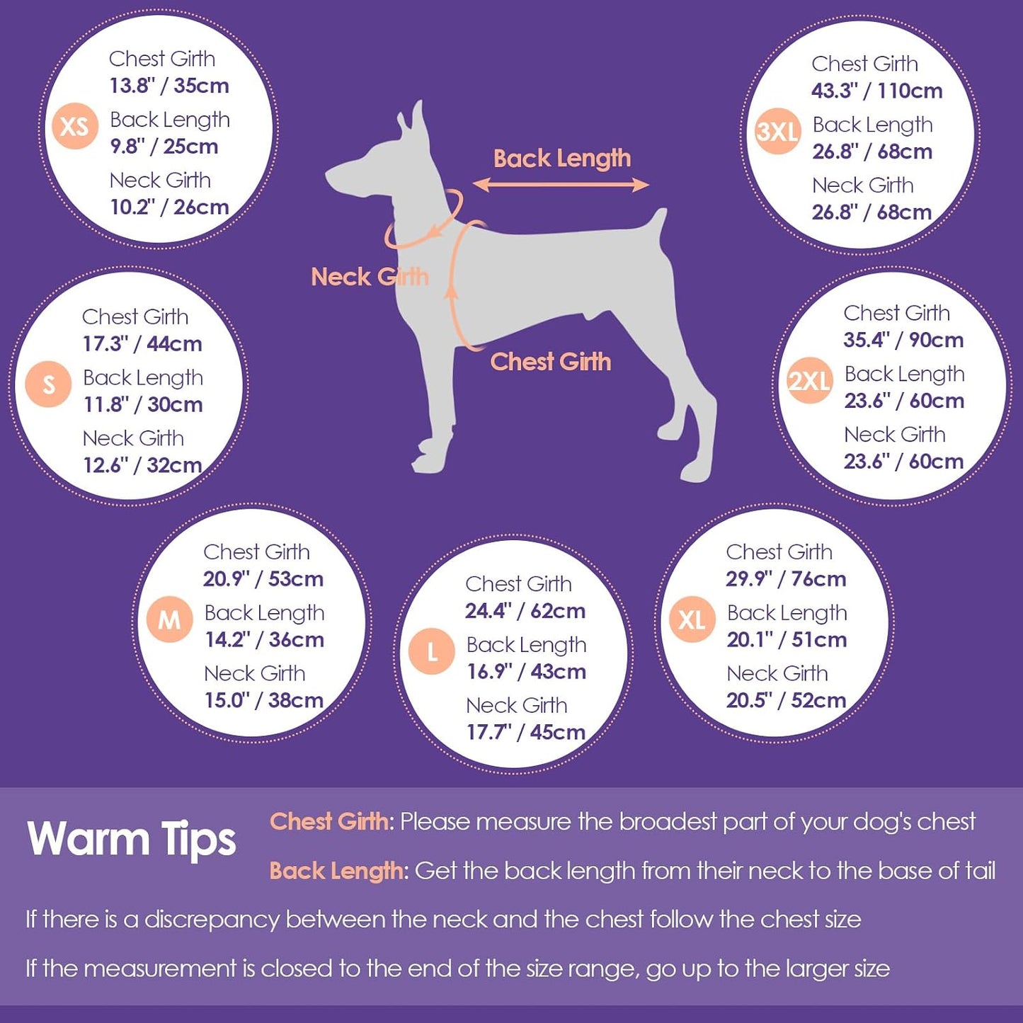 Reflective dog jacket for winter night safety visibility detailing