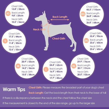 Reflective dog jacket for winter night safety visibility detailing