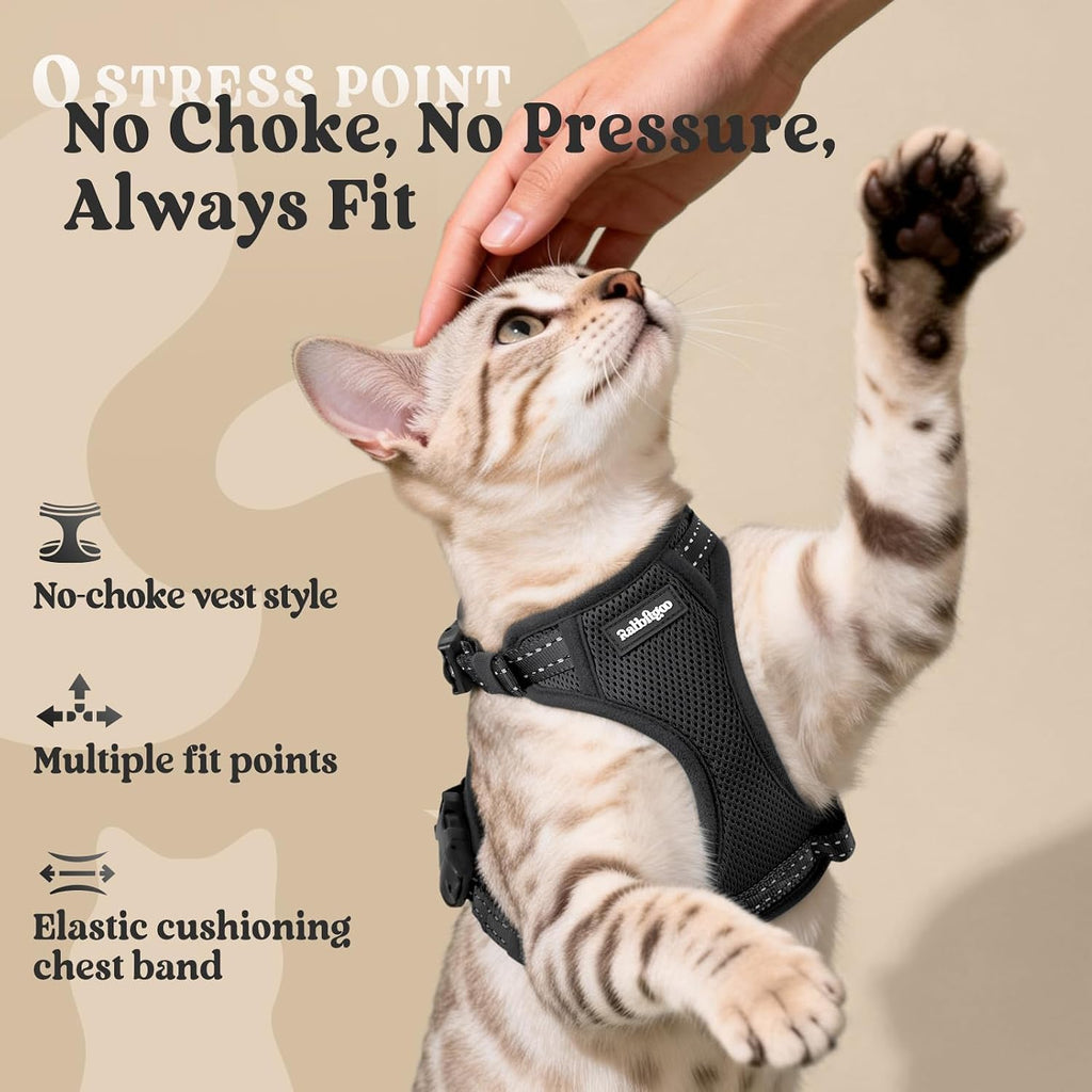 Overhead view of a feline wearing the secure non slip rabbitgoo cat walking vest setup