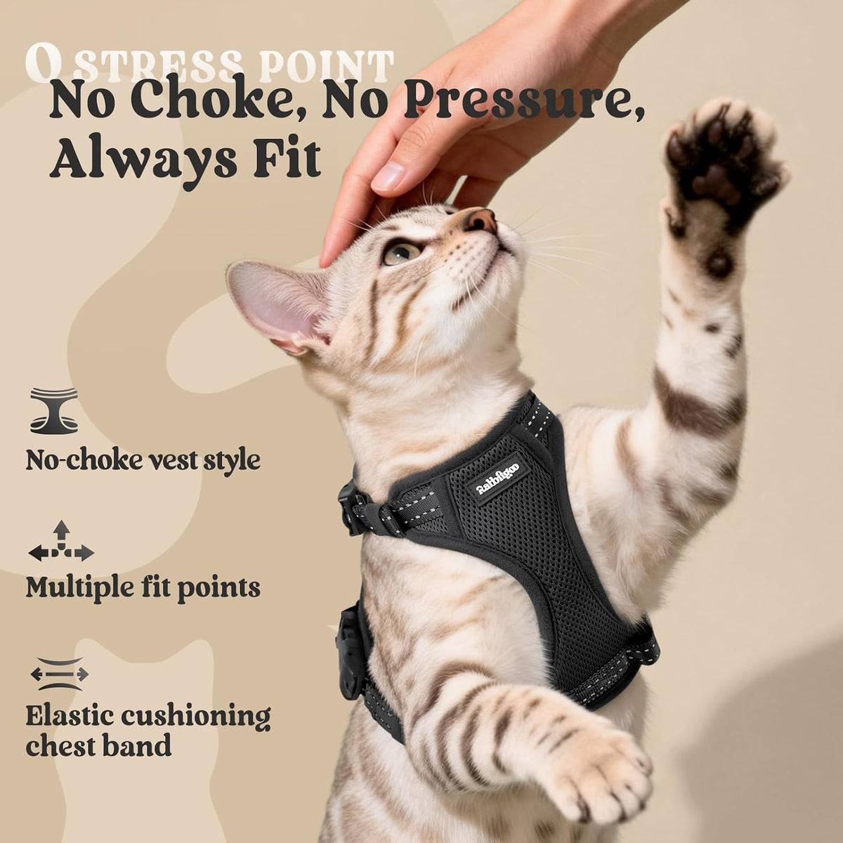 Overhead view of a feline wearing the secure non slip rabbitgoo cat walking vest setup