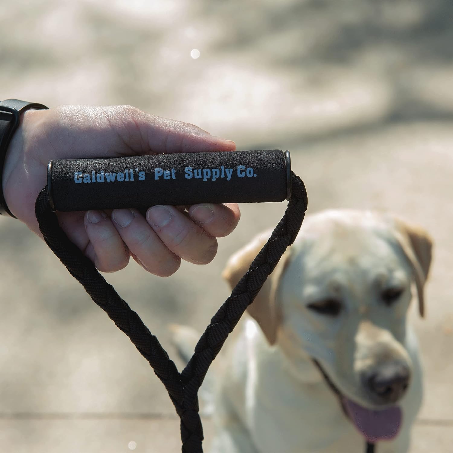 Durable braided dual pet coupler leash for training and outdoor walking.