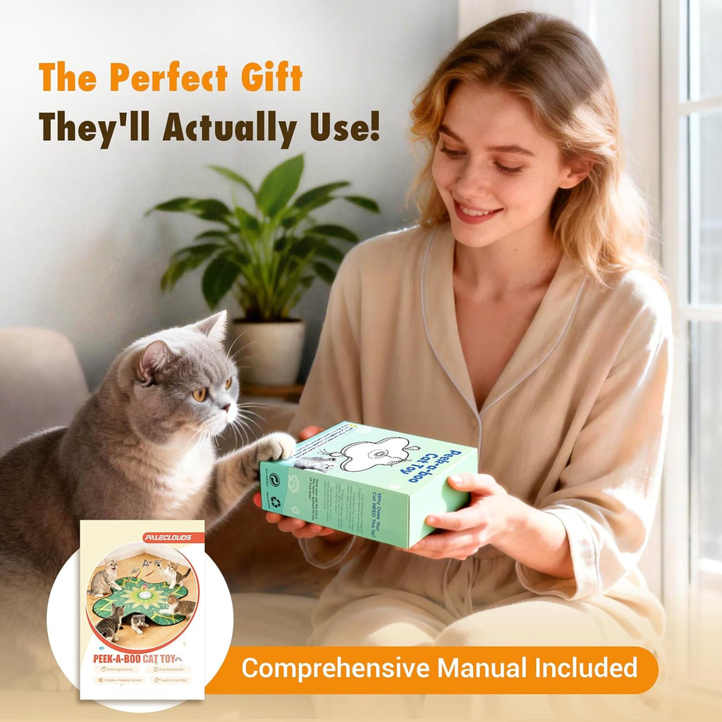Complete interactive cat play kit packaging with butterfly and feather refills
