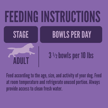 Small dog eating Strongheart Turkey Recipe wet food