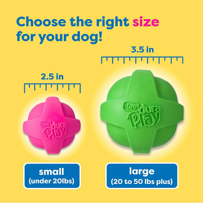 Assorted neon green pink and orange large dog fetch balls designed for active indoor and outdoor exercise.